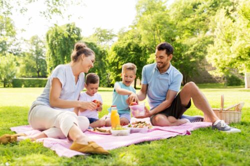 Family enjoying a nice picnic ©Ground Picture