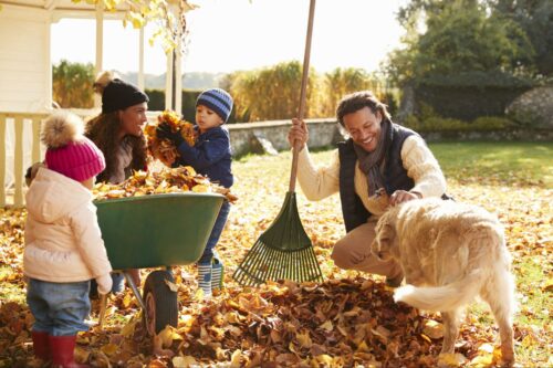 Family raking leaves ©Monkey Business Images